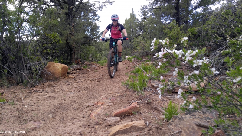 mountain biking in dolores