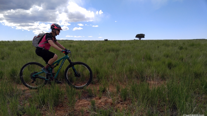 dolores mountain biking