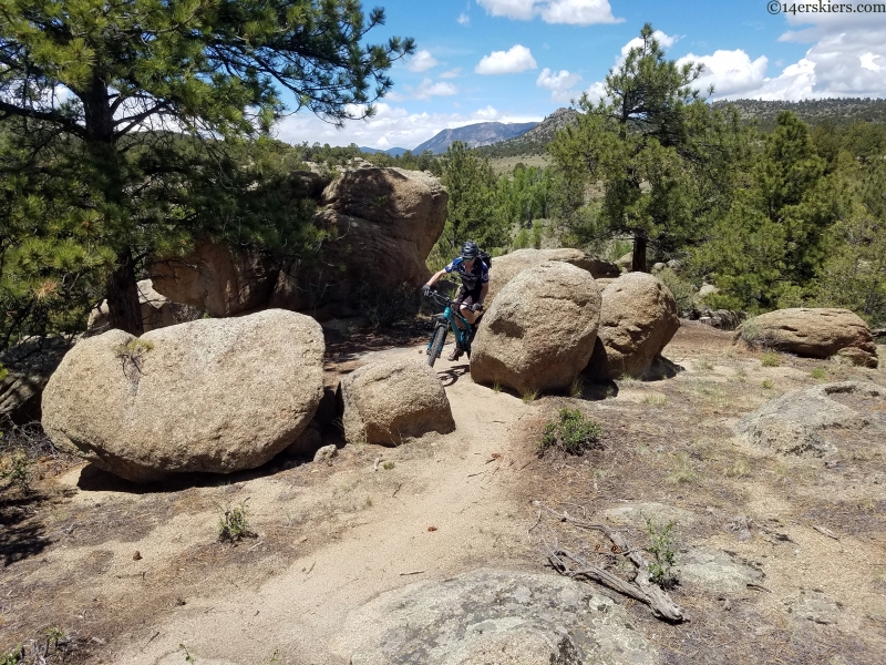 buena vista mountain biking