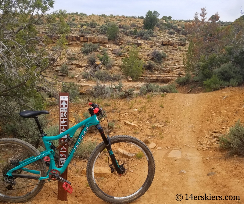 Vulture Rim Trail near Montrose, CO.