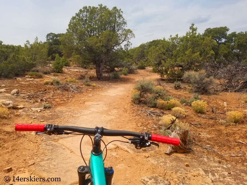 Mountain biking 101- Buzzard Gulch Trails near Montrose, CO.