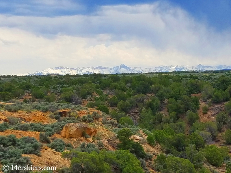 Mountain biking 101- Buzzard Gulch Trails near Montrose, CO.