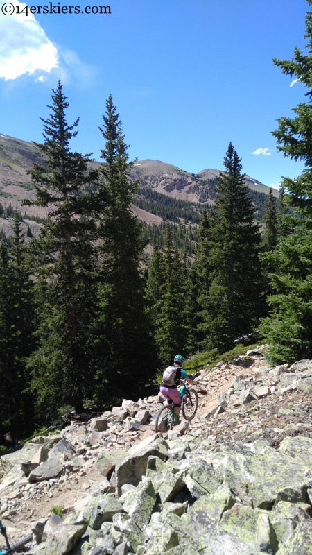 taylor park mountain biking