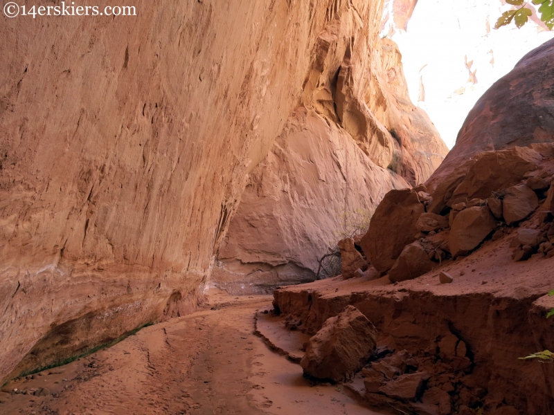 Moab flooding 2015