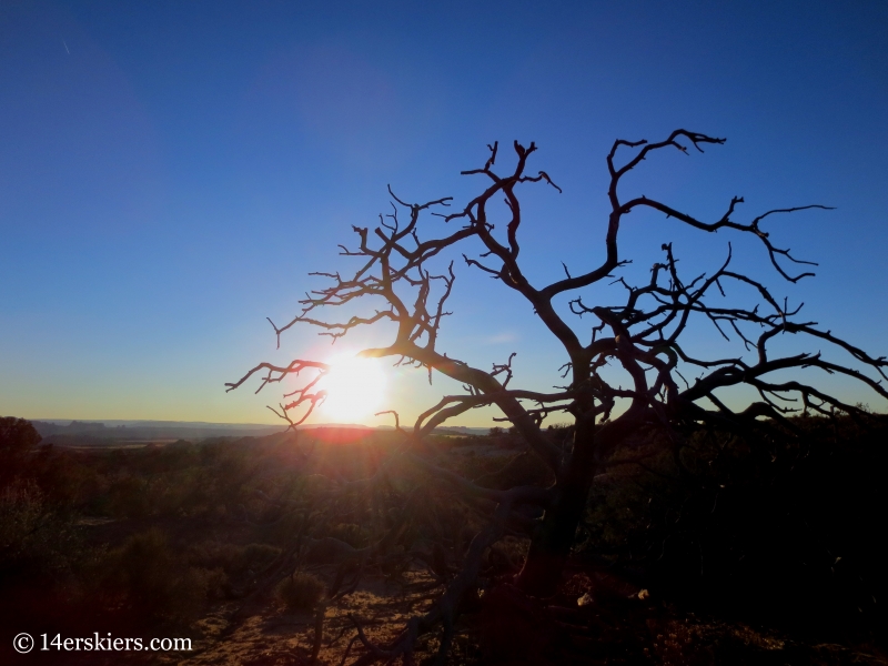 moab sunset