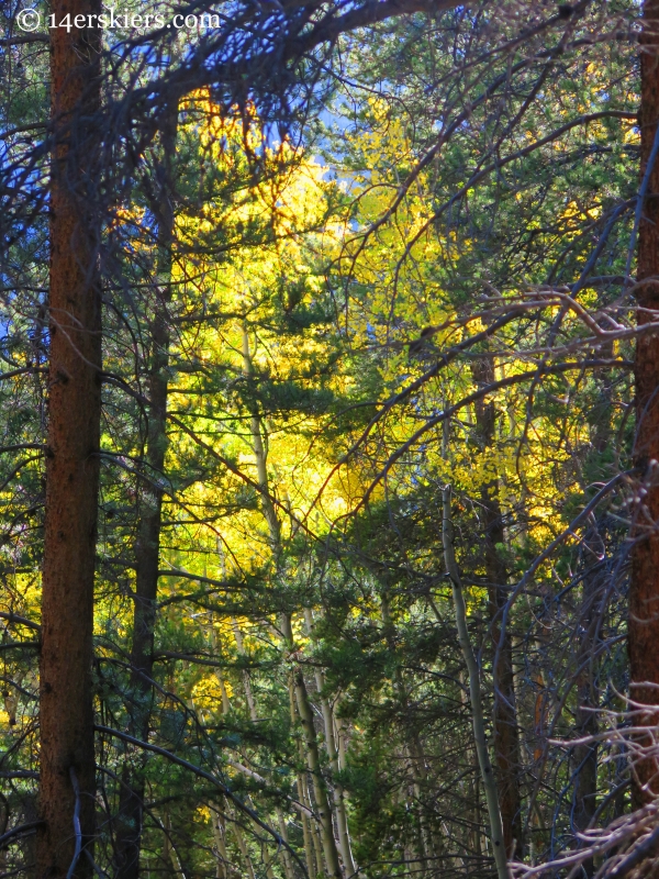 fall hiking on Carbon Creek near Crested Butte