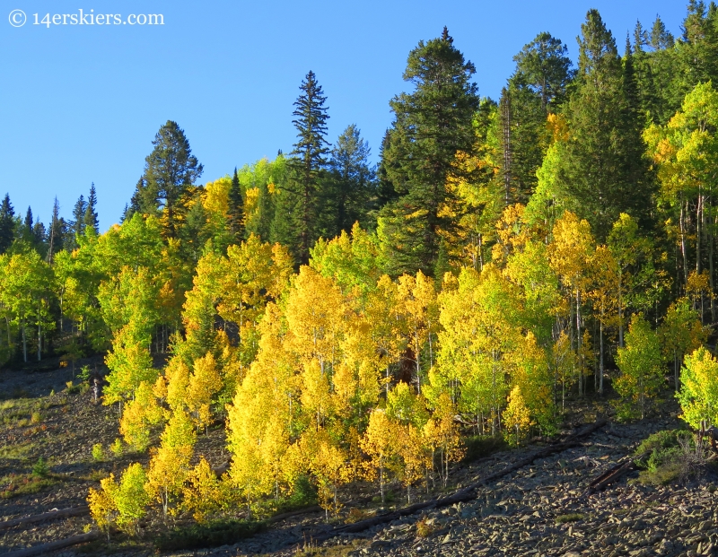 hiking Carbon Creek in fall near Crested Butte