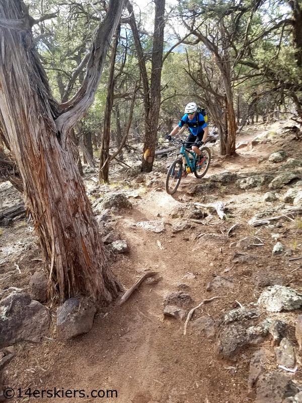 carbondale mountain biking recommendations