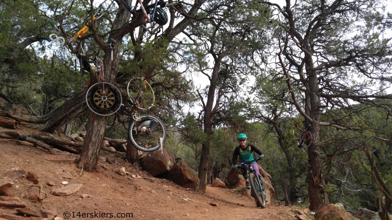 mountain biking near red hill carbondale