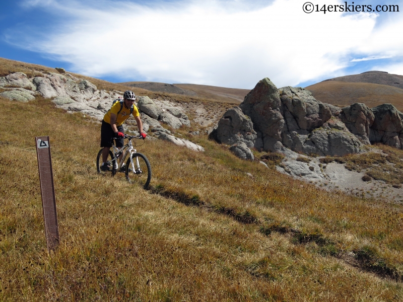 mountain biking the colorado trail