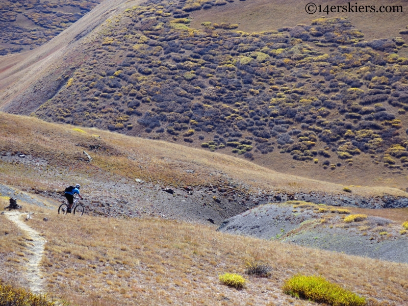 alpine mountain biking