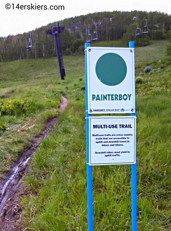Painterboy sign