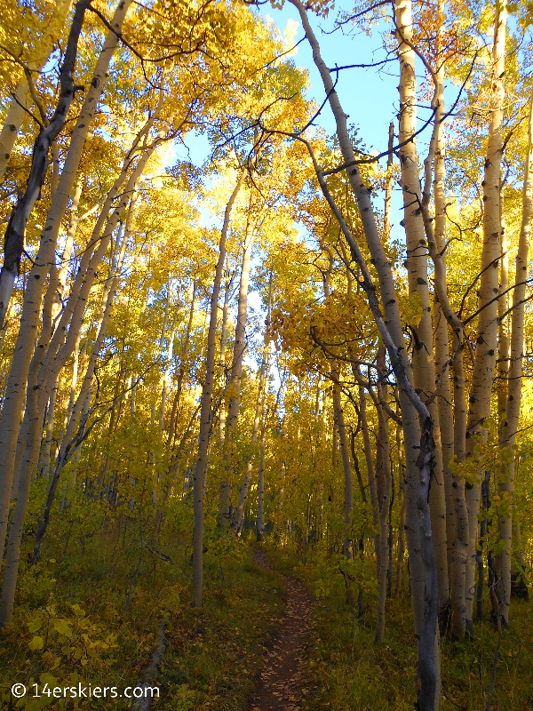 fall at Crested Butte Mountain Resort