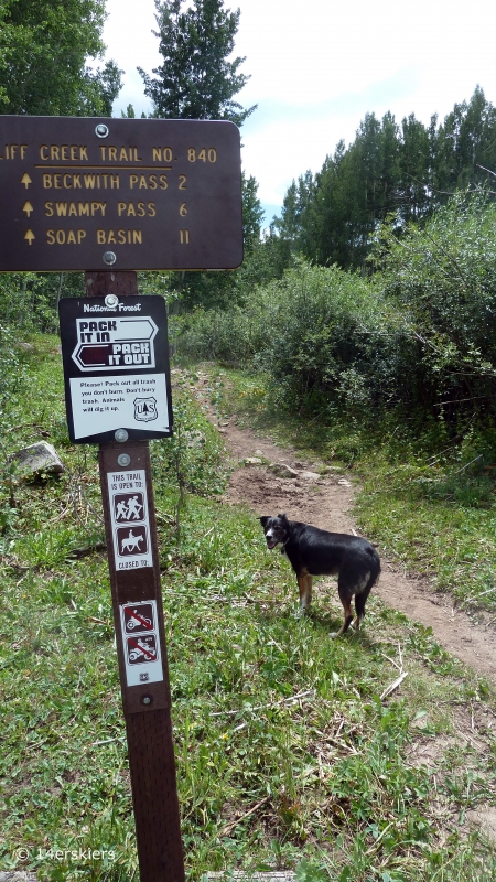 Hiking Cliff Creek trail to Beckwith Pass near Crested Butte, CO.