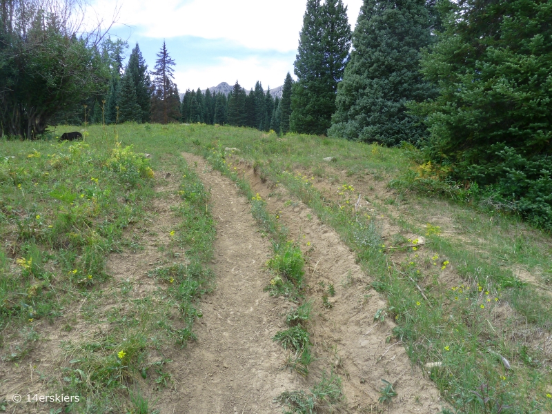 Hiking Cliff Creek trail to Beckwith Pass near Crested Butte, CO.