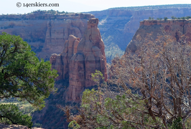 Enjoying the views from the Visitor's Center in the Colorado National Monument