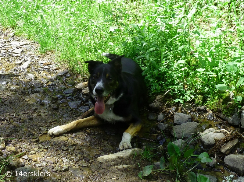 Copley Lake Hike near Crested Butte, CO.