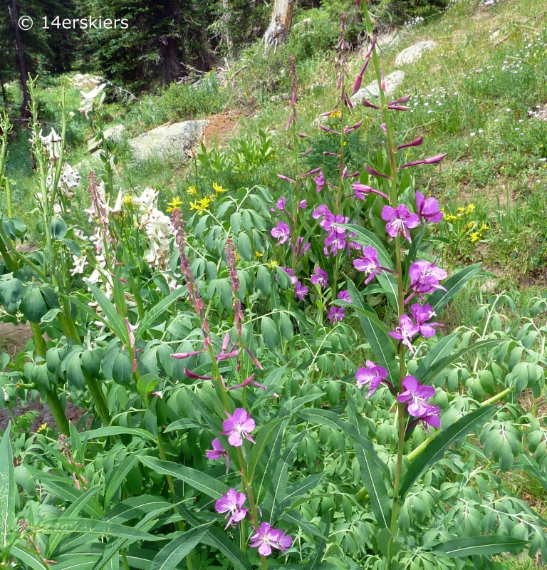 Copley Lake Hike near Crested Butte, CO.