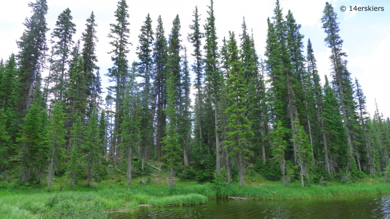 Copley Lake Hike near Crested Butte, CO.