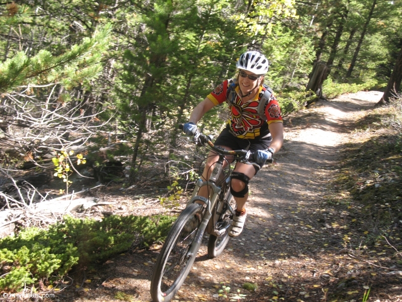 Mountain biking Mount Princeton section of Colorado Trail