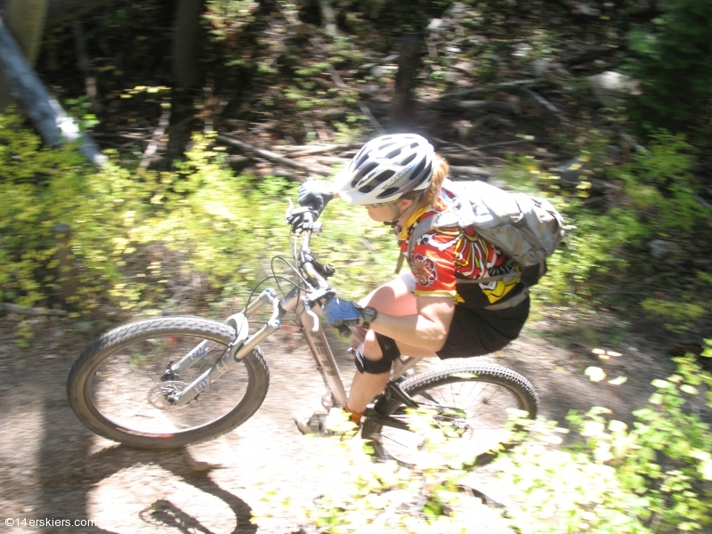 Mountain biking Mount Princeton section of Colorado Trail