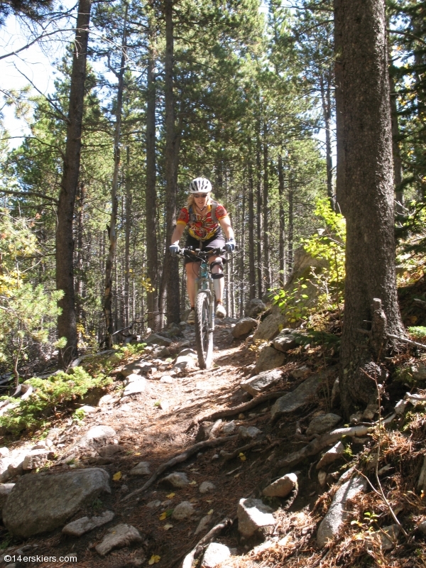 Mountain biking Mount Princeton section of Colorado Trail