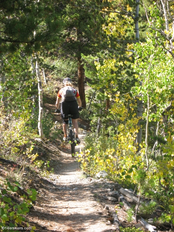 Mountain biking Mount Princeton section of Colorado Trail