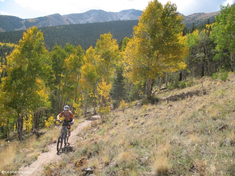 Mountain biking Mount Princeton section of Colorado Trail