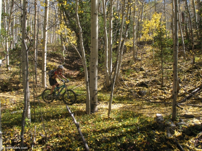 Mountain biking Mount Princeton section of Colorado Trail