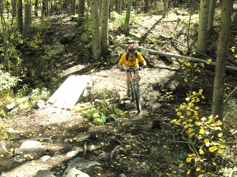 Mountain biking Mount Princeton section of Colorado Trail