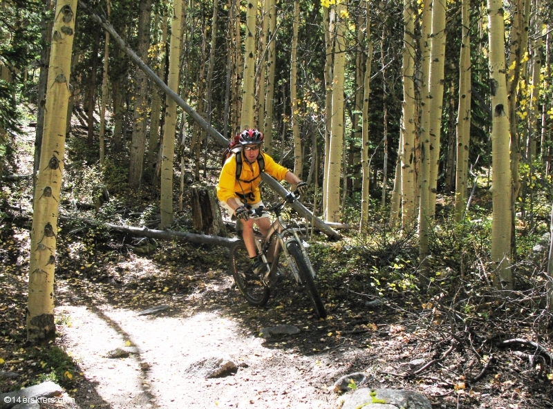 Mountain biking Mount Princeton section of Colorado Trail