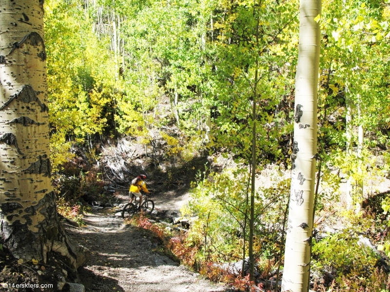 Mountain biking Mount Princeton section of Colorado Trail