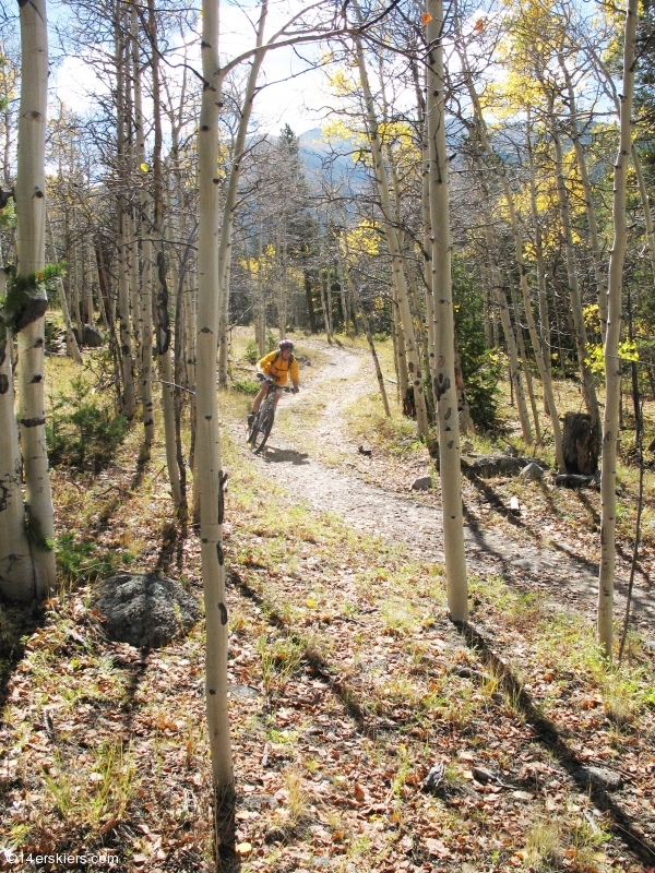 Mountain biking Mount Princeton section of Colorado Trail