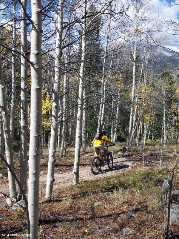 Mountain biking Mount Princeton section of Colorado Trail