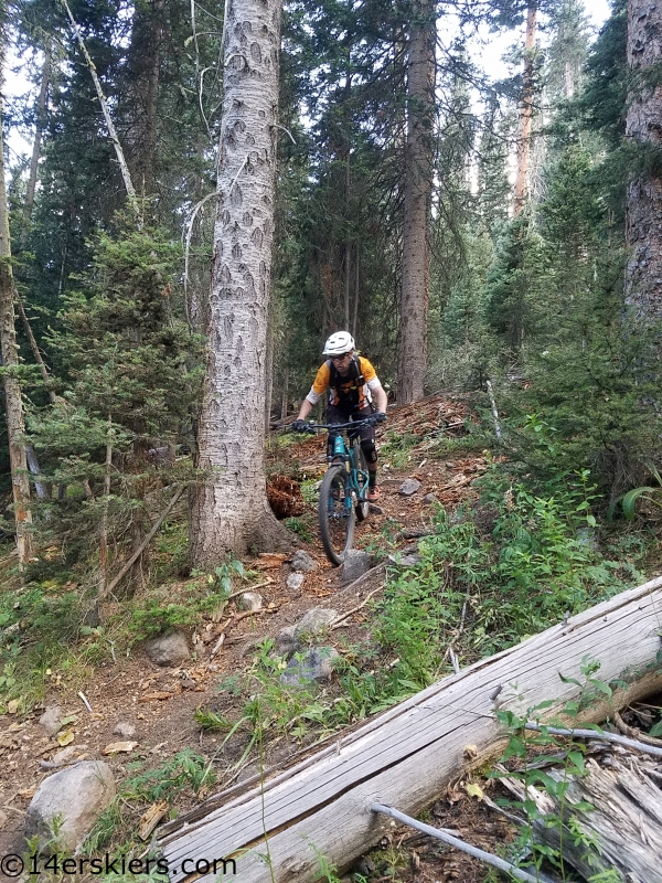 mountain biking west elks