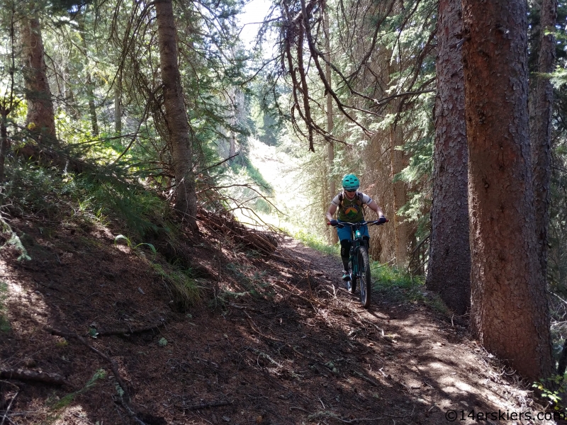 MTB curecanti trail gunnison national forest