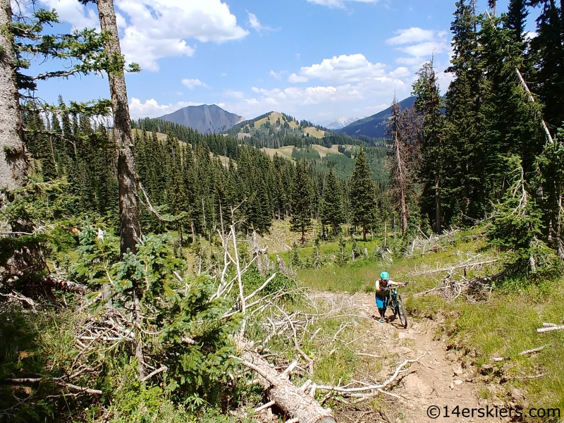 mount guero from near bald mountain mountain biking