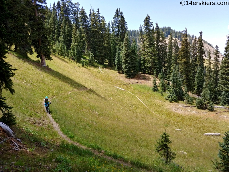 mountain biking bald mountain tie in trail