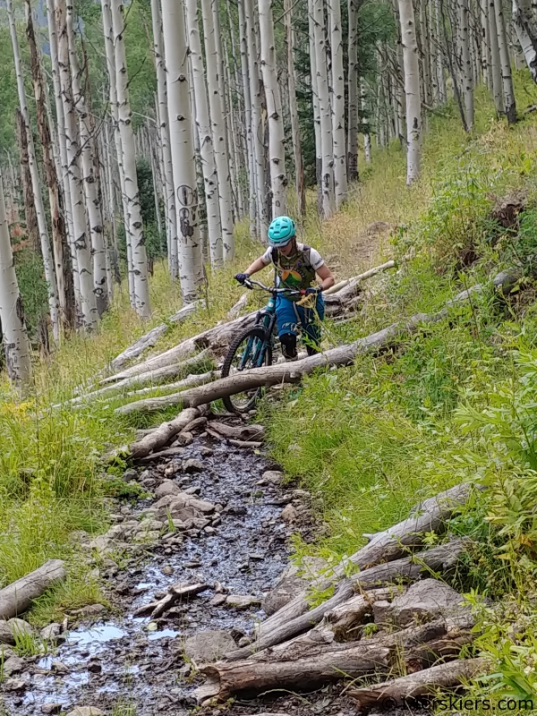 south dyer creek mountain biking west elks