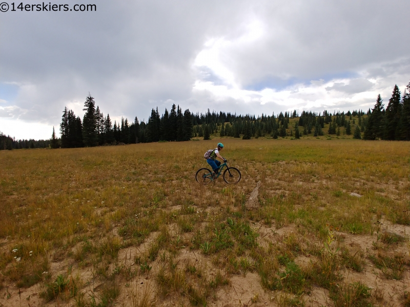 black mesa mountain biking west elks