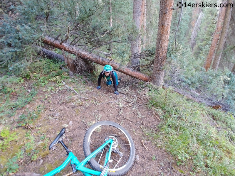 adventure mountain biking