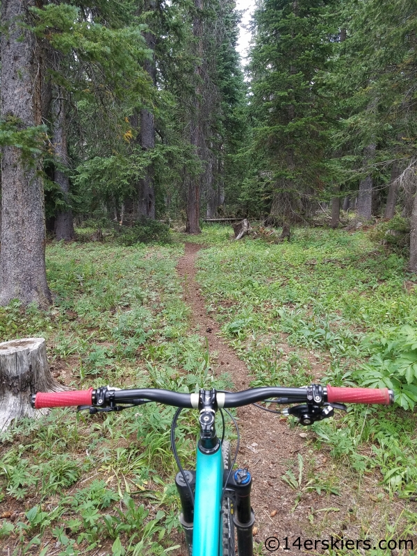 trail creek mountain biking near curecanti