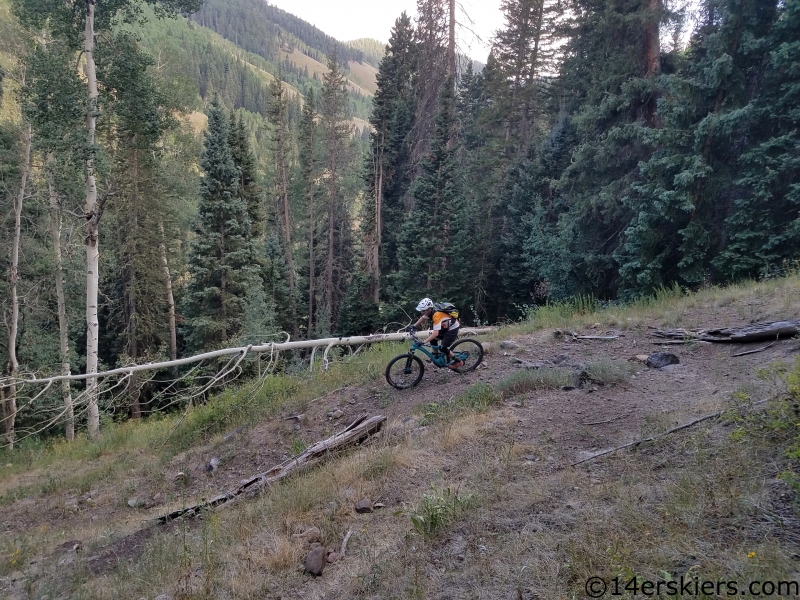 mountain biking near crawford