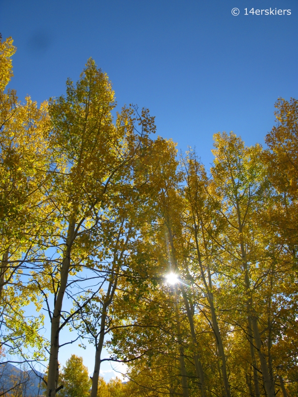 Dark Canyon hike in fall near Crested Butte, CO