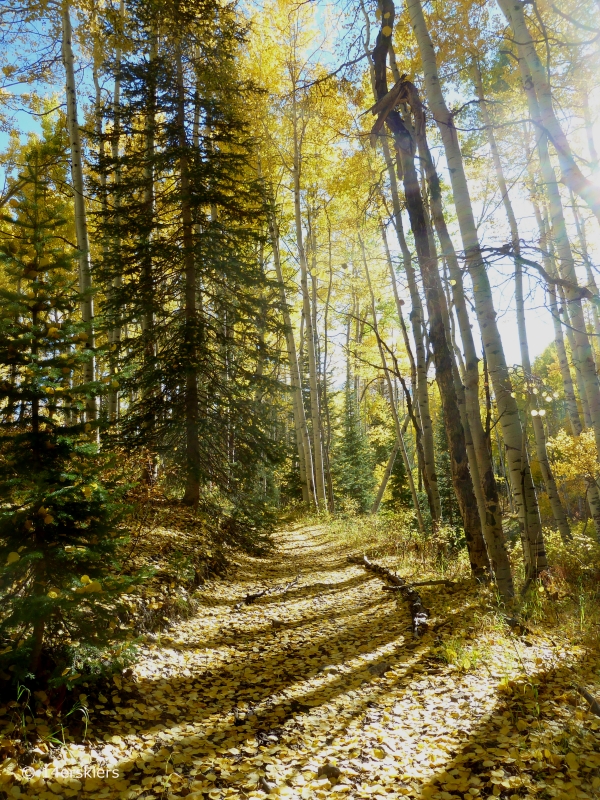 Dark Canyon hike in fall near Crested Butte, CO