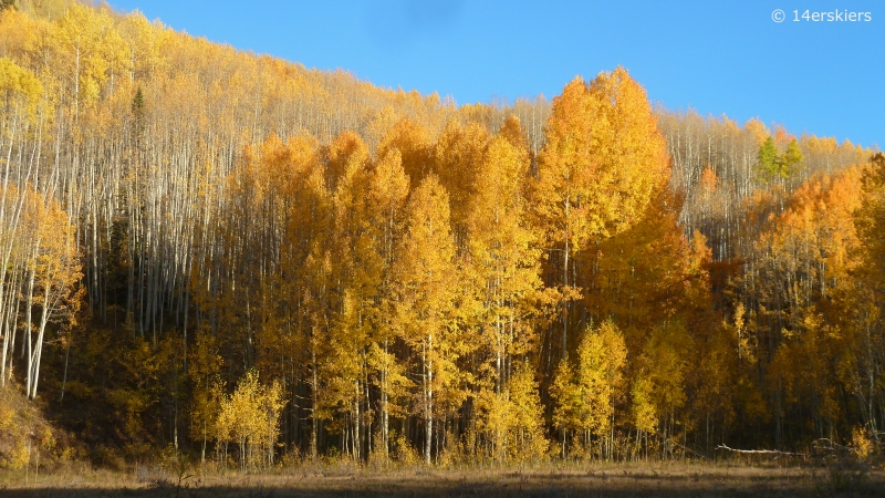 Dark Canyon hike in fall near Crested Butte, CO