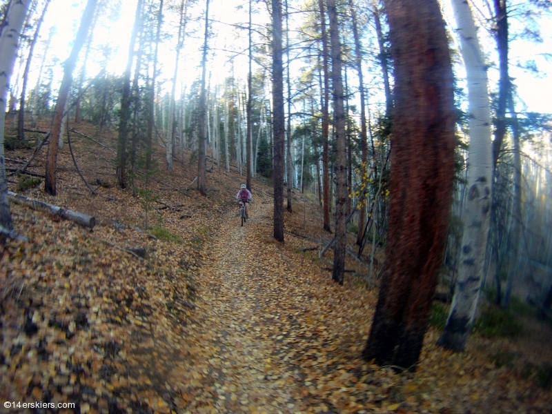 Mountain biking Doctor Park near Crested Butte, CO