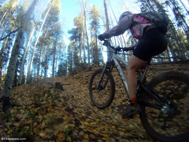 Mountain biking Doctor Park near Crested Butte, CO