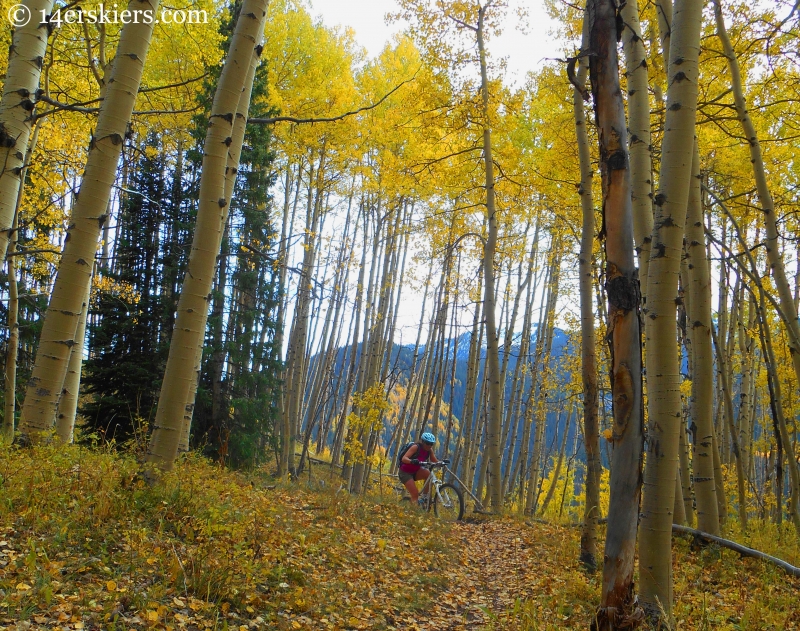 Susan Mol rounding out a scenic spot during a fall ride on the Dyke Trail in Crested Butte, CO