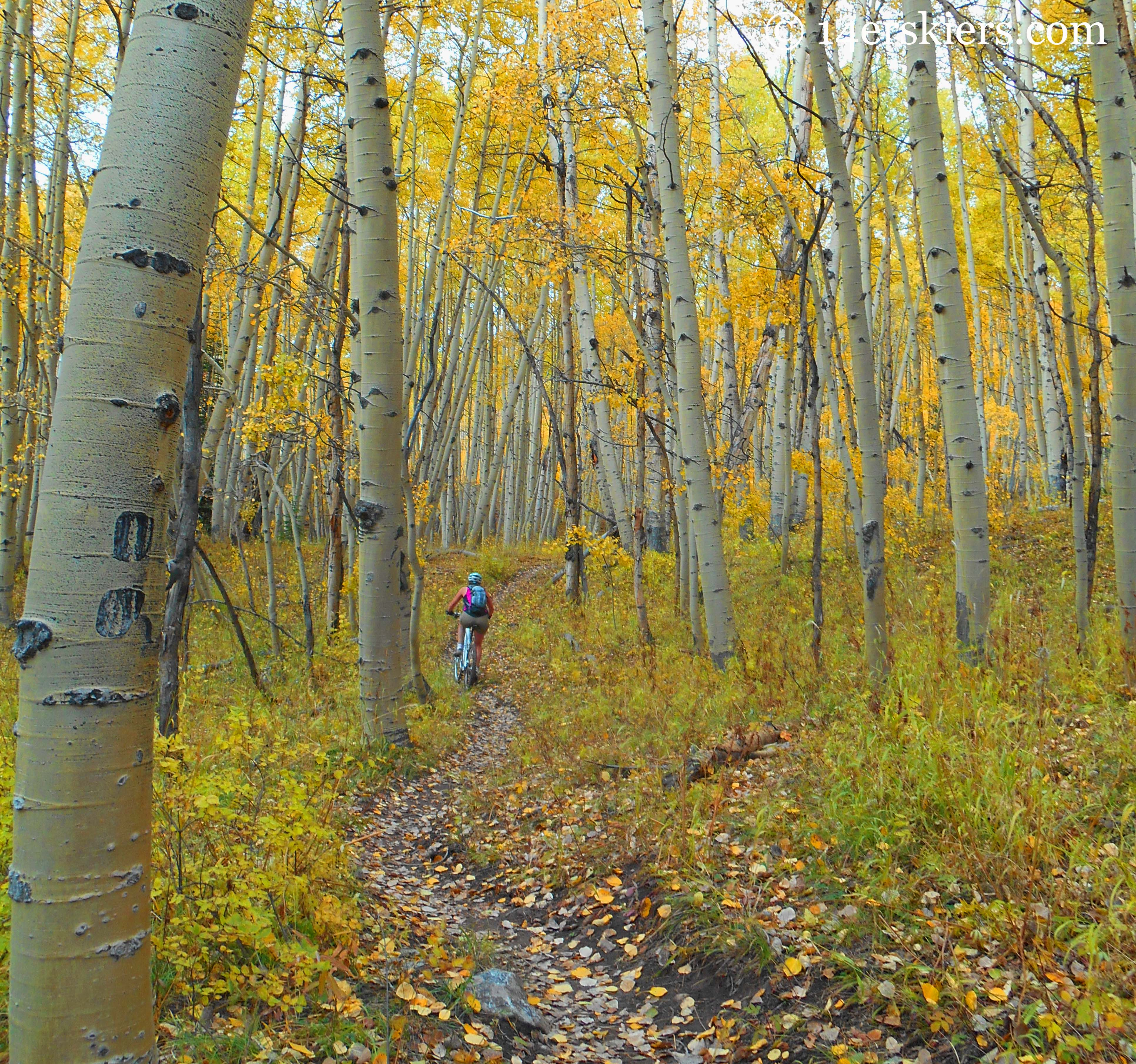 Susan Mol during a fall ride on the Dyke Trail in Crested Butte, CO